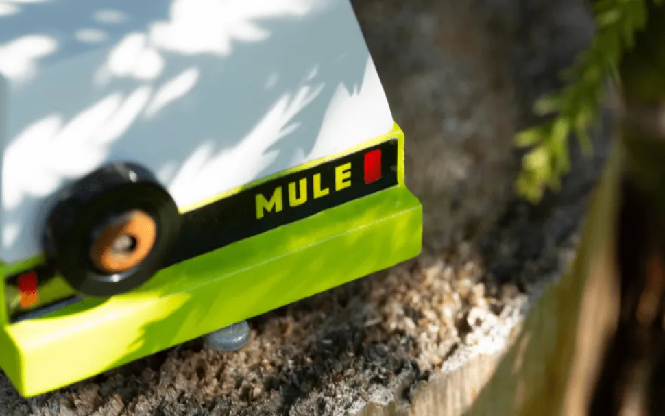 Candylab – Everglades Mule