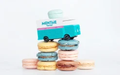 Candylab Blue Macaron Van