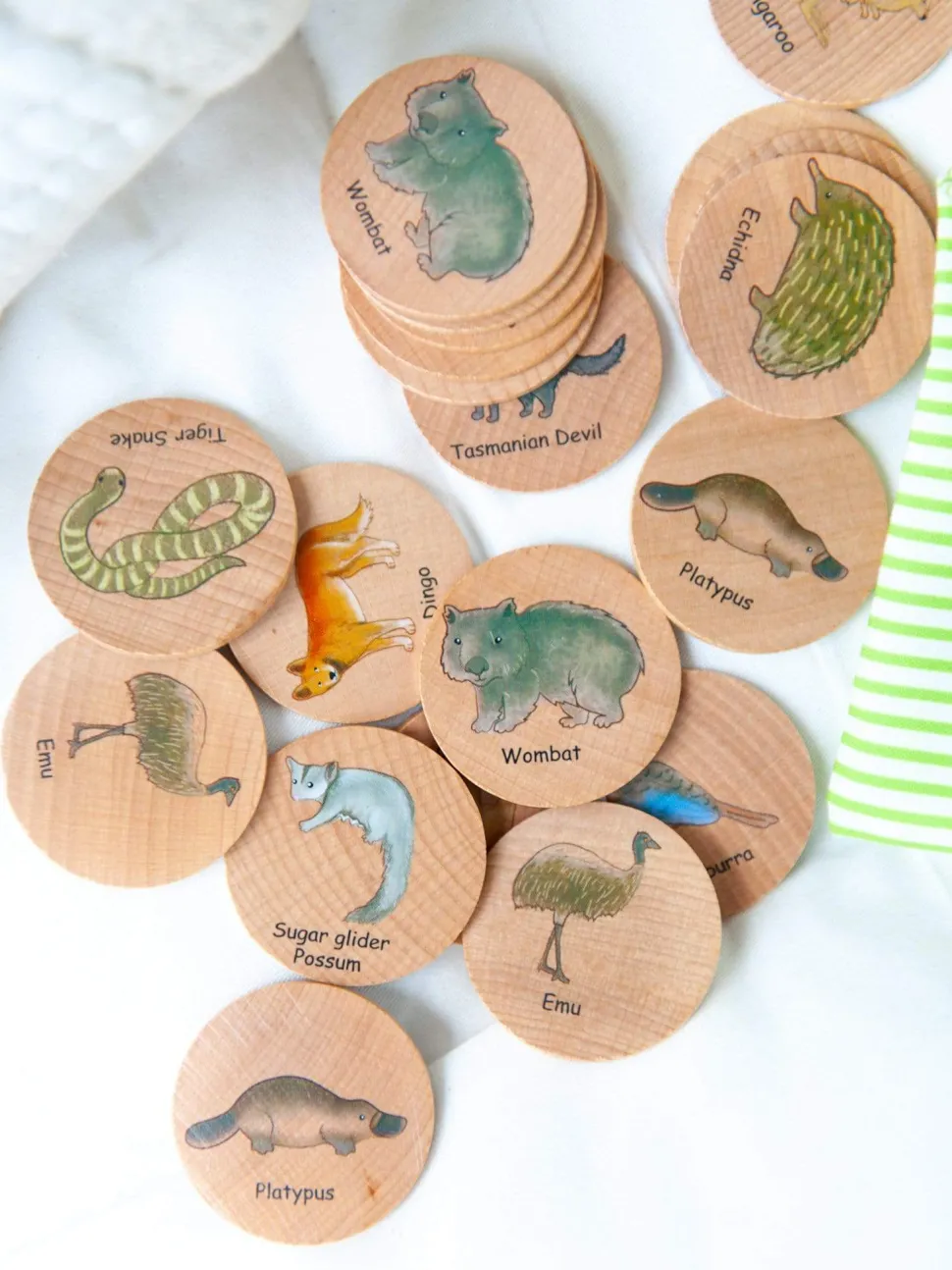 Freckled Frog Australian Animals Matching Pairs