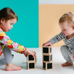 Freckled Frog Fun with Chalk! Wooden Cubes