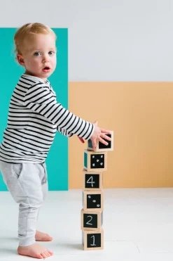 Freckled Frog Fun with Chalk! Wooden Cubes
