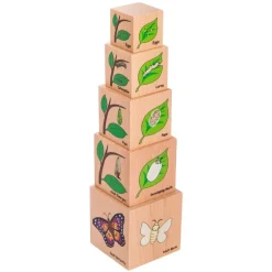 Freckled Frog Lifecycle Wooden Blocks