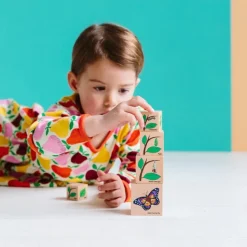 Freckled Frog Lifecycle Wooden Blocks