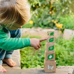 Freckled Frog Lifecycle Wooden Blocks