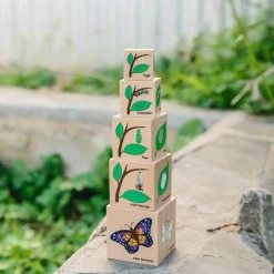 Freckled Frog Lifecycle Wooden Blocks