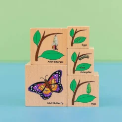 Freckled Frog Lifecycle Wooden Blocks
