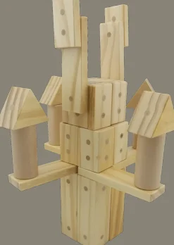 Freckled Frog Magnetic Wooden Blocks