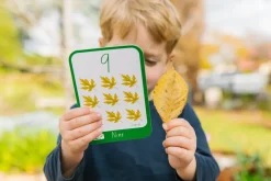 Freckled Frog Numbers Flashcards