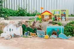 Freckled Frogs Happy Architect Animals in Habitat