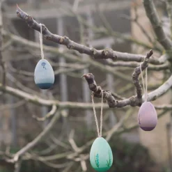 Grapat Aurora Eggs