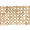 Grapat Coins to Count 60 Pieces