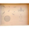 Grapat Nature Free Play Box