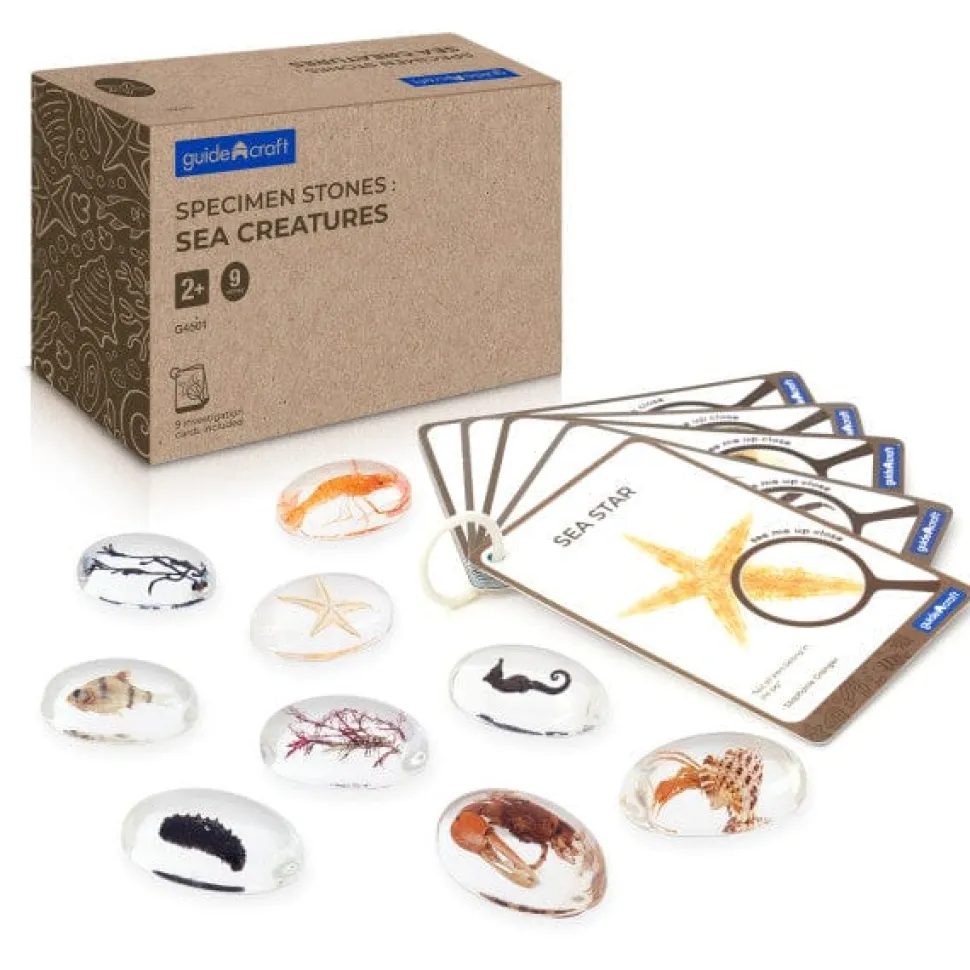 Guidecraft Specimen Stones: Sea Creatures
