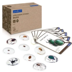 Guidecraft Specimen Stones: Bugs