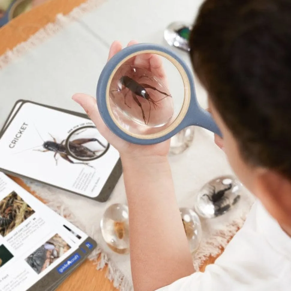 Guidecraft Specimen Stones: Bugs