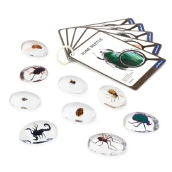 Guidecraft Specimen Stones: Bugs