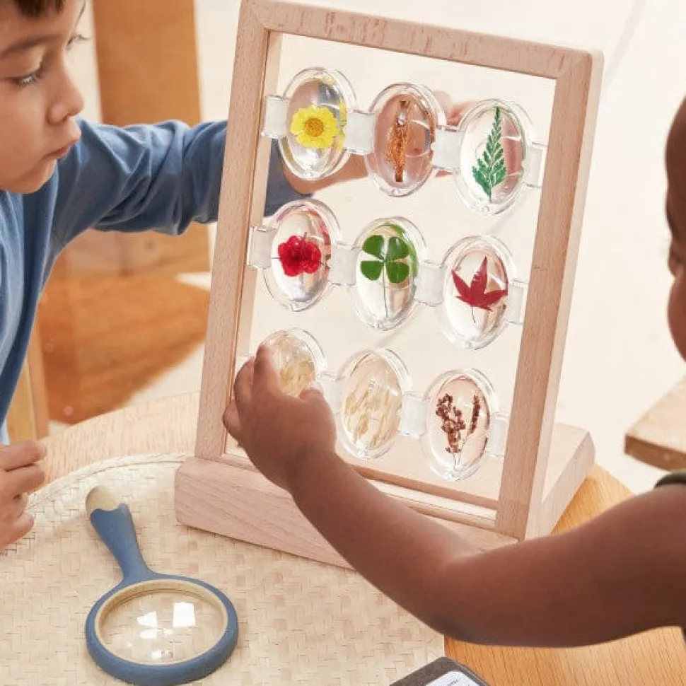 Guidecraft Specimen Stones Tabletop Stand