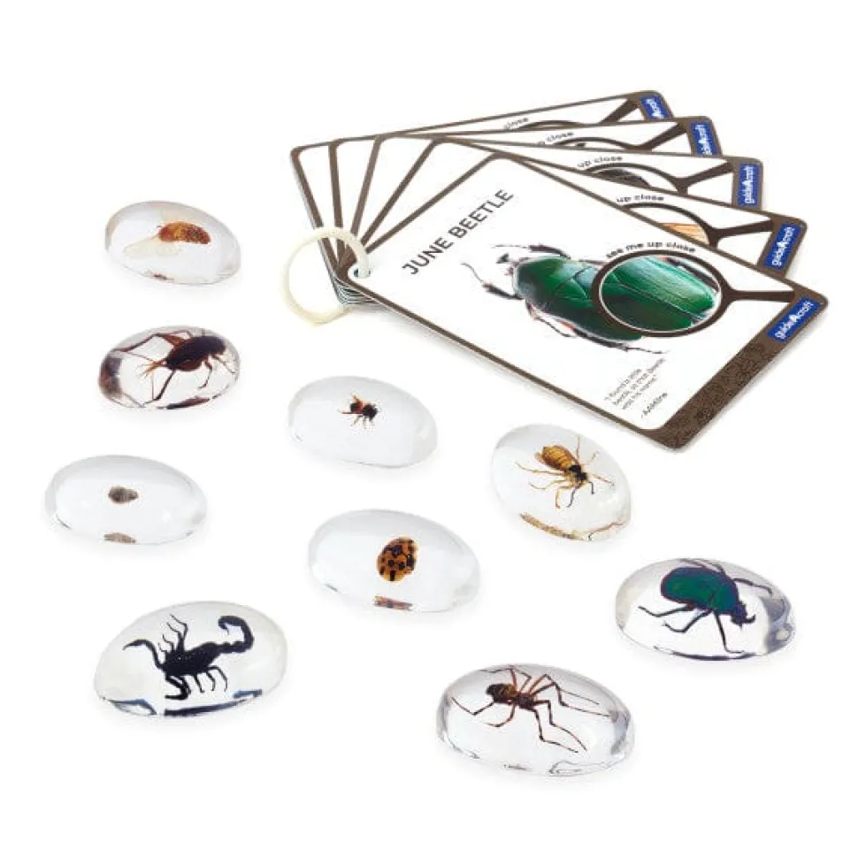 Guidecraft Specimen Stones: Bugs