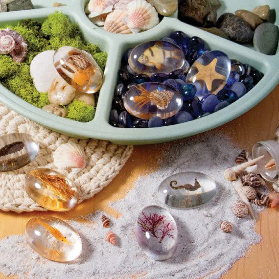 Guidecraft Specimen Stones: Sea Creatures