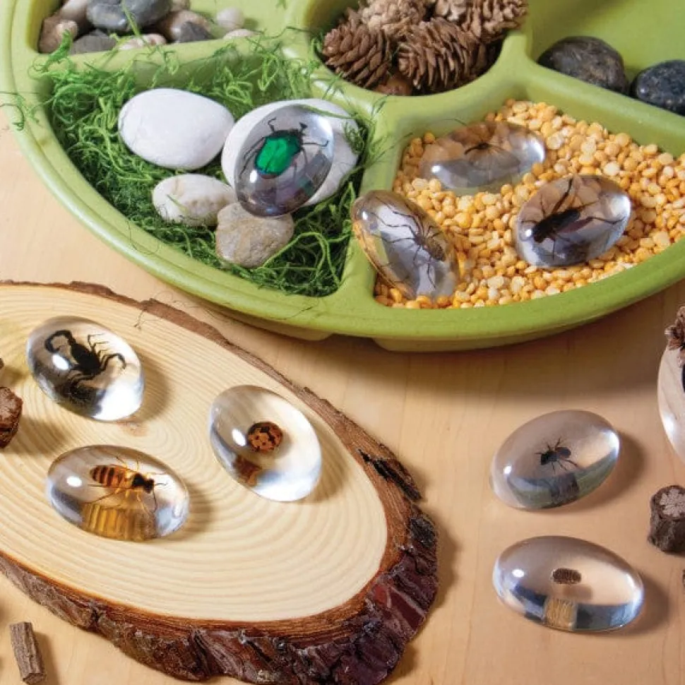 Guidecraft Specimen Stones: Bugs