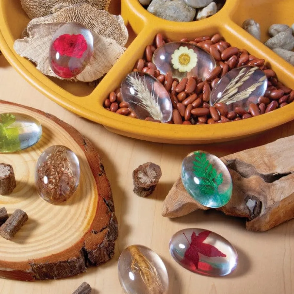 Guidecraft Specimen Stones: Plants