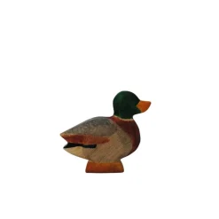 HolzWald Duck male