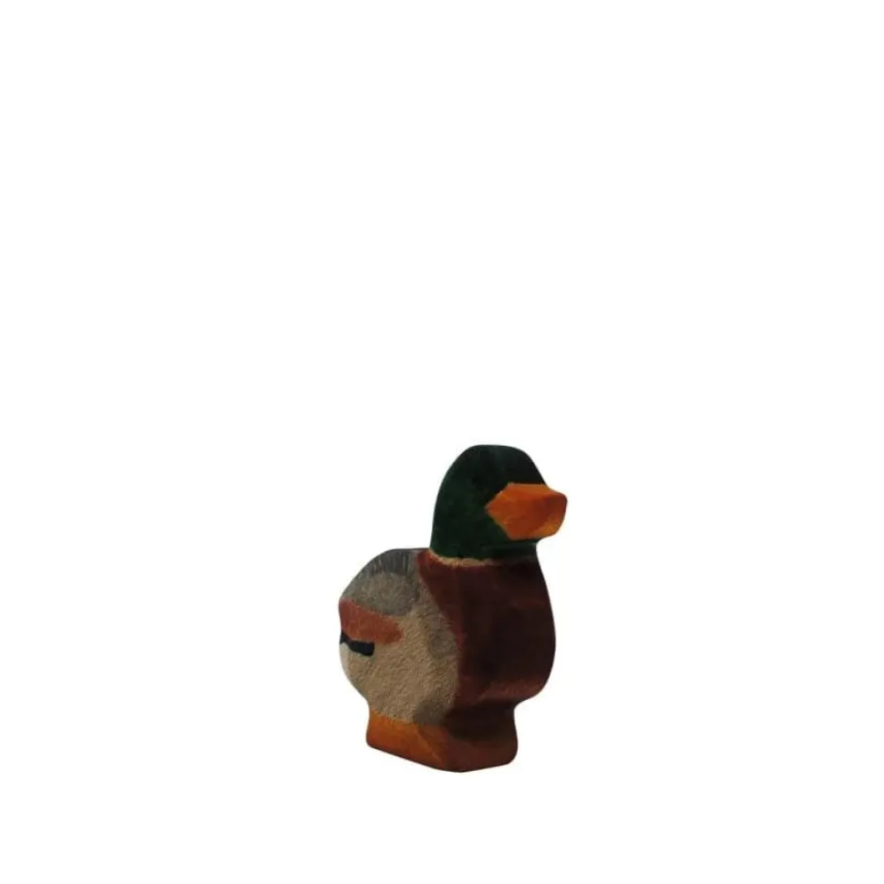 HolzWald Duck male