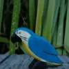 HolzWald Parrot Blue