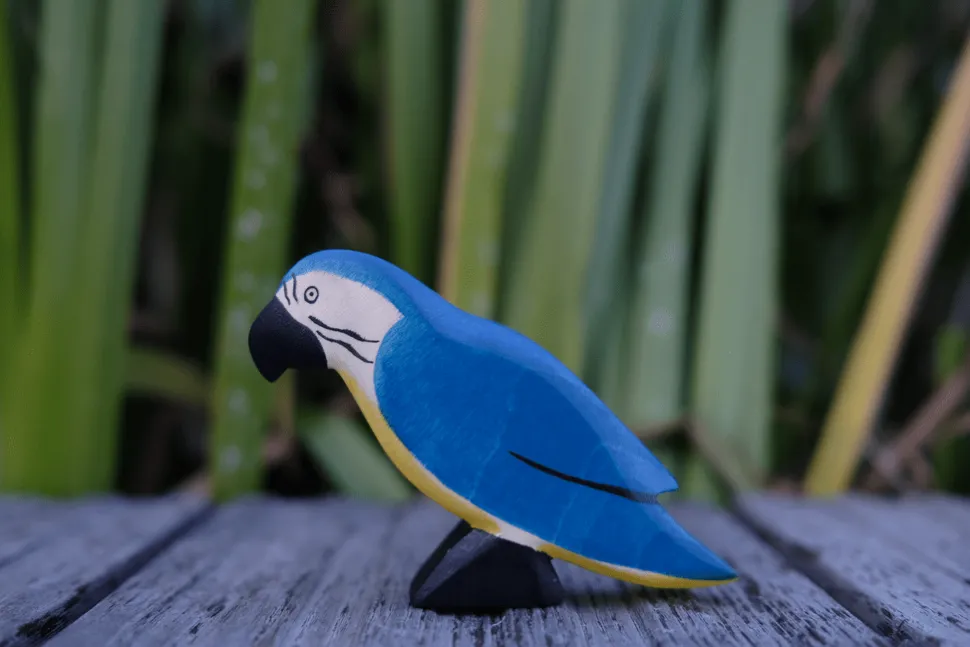 HolzWald Parrot Blue