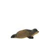 HolzWald Sea Lion lying