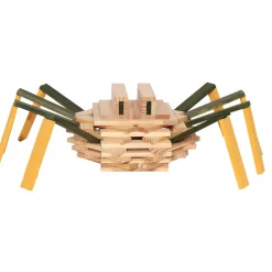 Kapla Spider Case