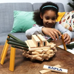 Kapla Spider Case
