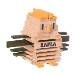Kapla Spider Case