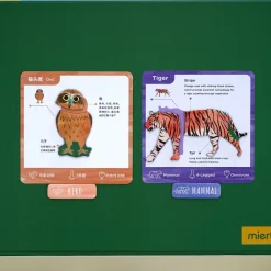 mierEdu All About - Animals Magnetic