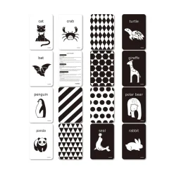 mierEdu Cognitive Flash Cards - Black & White
