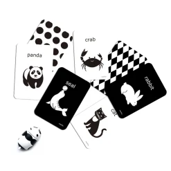 mierEdu Cognitive Flash Cards - Black & White