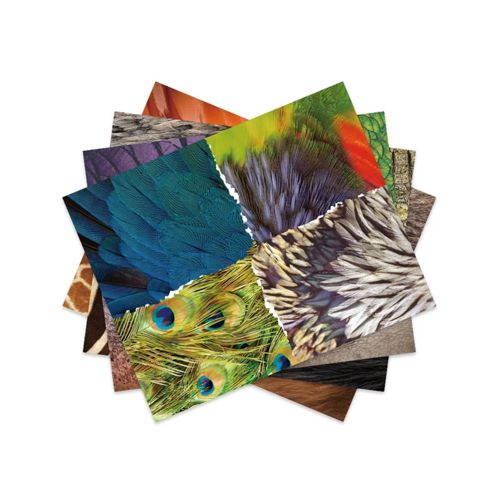 mierEdu DIY Paper Collage Craft - Paper Animals