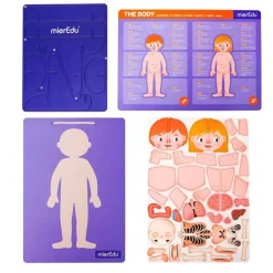 mierEdu Magnetic Pad - Anatomy