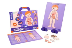 mierEdu Magnetic Pad - Anatomy