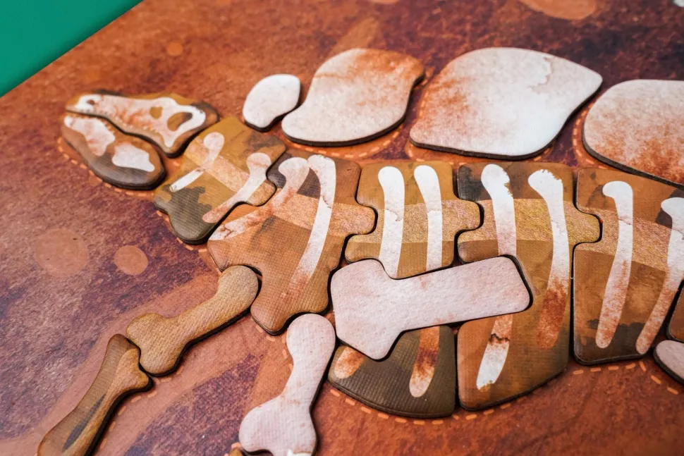 mierEdu Magnetic Pad - Stegosaurus