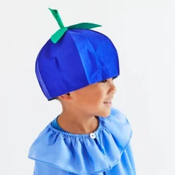 2025 New Sarah’s Silks Blueberry Hat