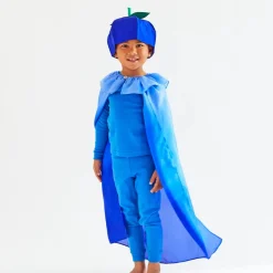 2025 New Sarah’s Silks Blueberry Hat