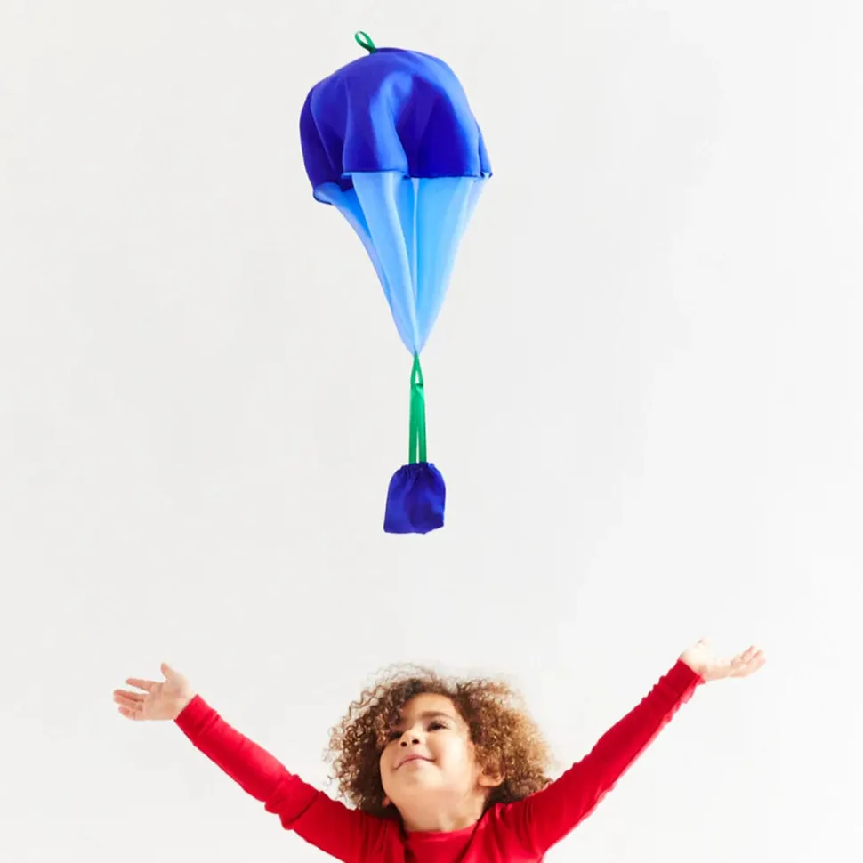 2025 New Sarah’s Silks Blueberry Parachute