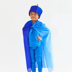 2025 New Sarah’s Silks Blueberry Playsilk