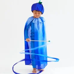 2025 New Sarah’s Silks Blueberry Hat