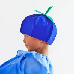 2025 New Sarah’s Silks Blueberry Hat