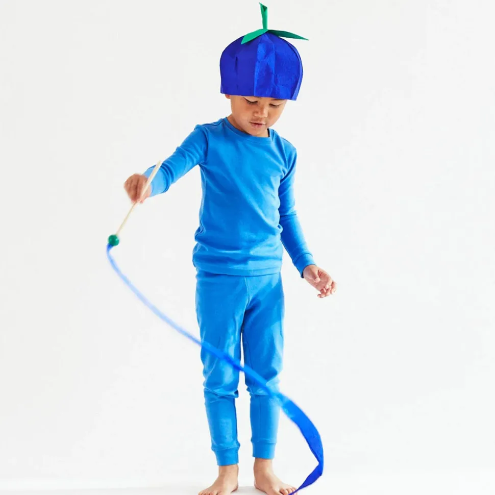 2025 New Sarah’s Silks Giant Blueberry Playsilk