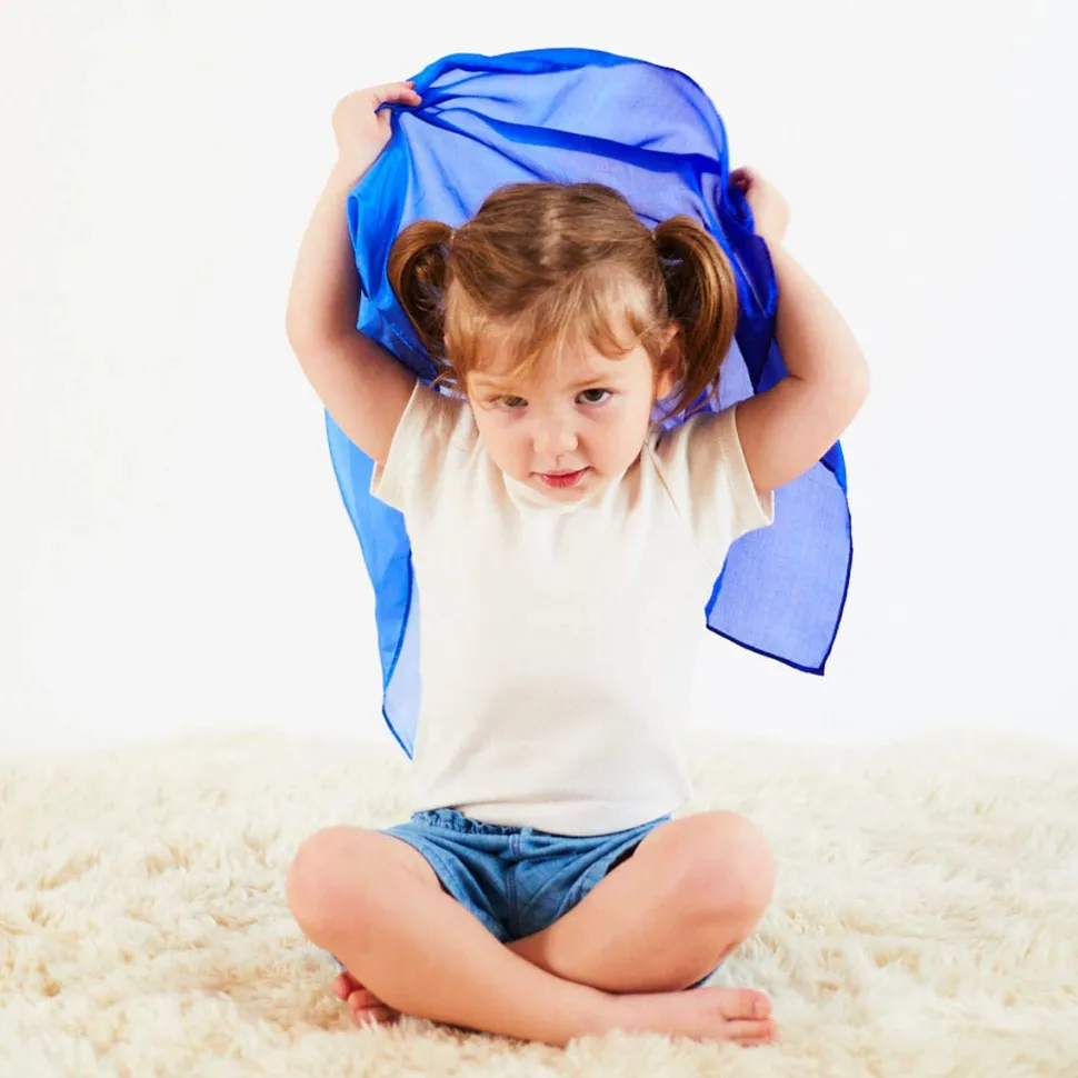 2025 New Sarah’s Silks Mini Blueberry Playsilk