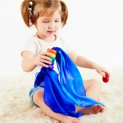 2025 New Sarah’s Silks Mini Blueberry Playsilk