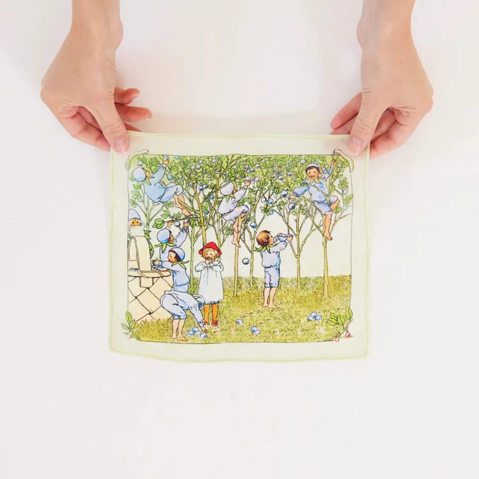 2025 New Sarah’s Silks Mini Mini Blueberry Children Seek & Find